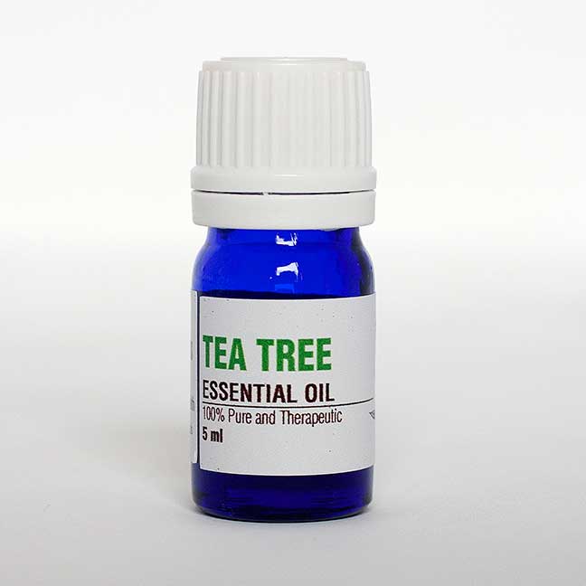 TEA TREE