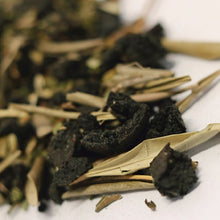 Load image into Gallery viewer, Para Cleanse Tincture Kit