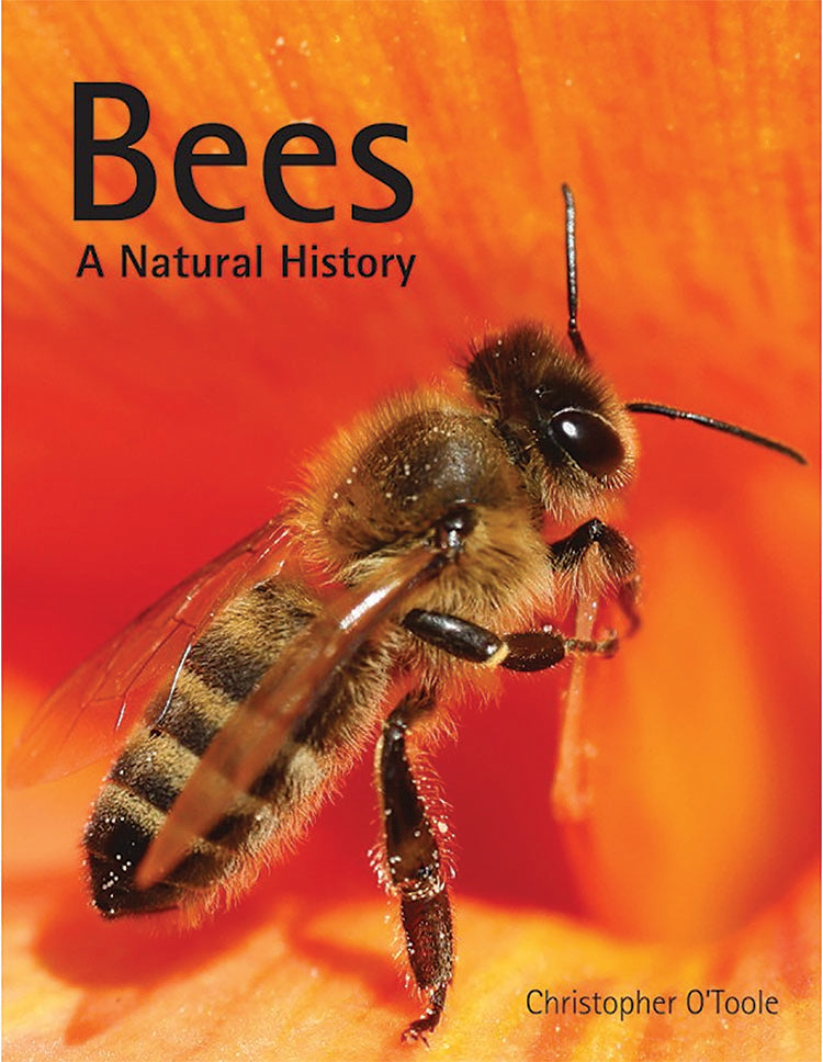 BEES: A NATURAL HISTORY – Mother Earth Living