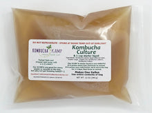 Load image into Gallery viewer, Kombucha Scoby Culture With Starter Liquid