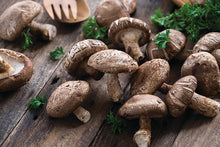 Load image into Gallery viewer, Shiitake Mushroom Fruiting Kit