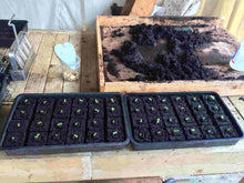 Load image into Gallery viewer, Micro 20 Soil Blocker