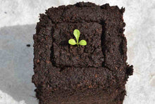 Load image into Gallery viewer, Mini 4 Soil Blocker