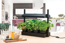 Load image into Gallery viewer, T5 Micro Garden Grow Light
