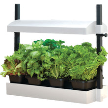 Load image into Gallery viewer, T5 Micro Garden Grow Light