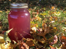 Load image into Gallery viewer, Water Kefir Complete Starter Set