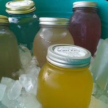 Load image into Gallery viewer, Water Kefir Basic Starter Set