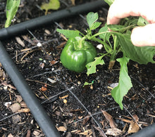 Load image into Gallery viewer, THE GARDEN GRID™ WATERING SYSTEM