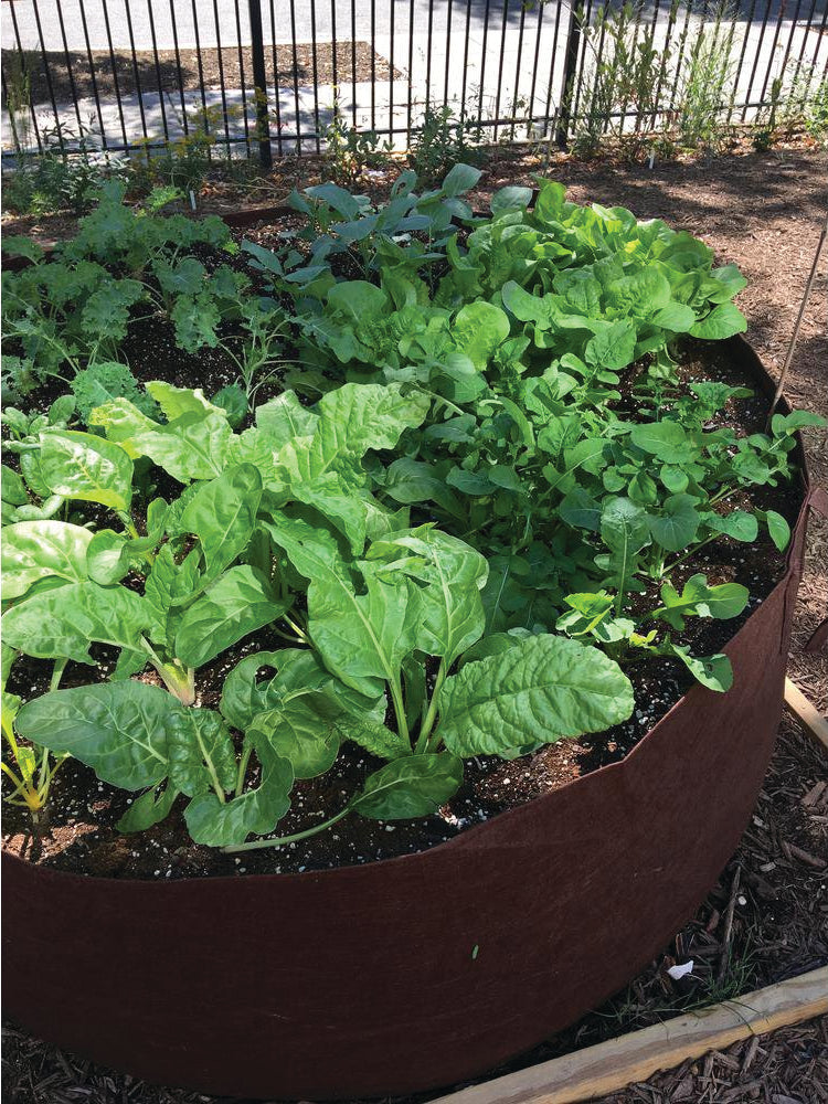 65 GALLON BROWN FABRIC PLANTER WITH HANDLES