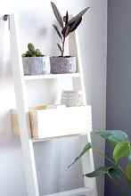 Load image into Gallery viewer, FABRIC PLANTER SUCCULENT KIT

