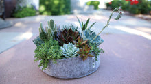 Load image into Gallery viewer, FABRIC PLANTER SUCCULENT KIT
