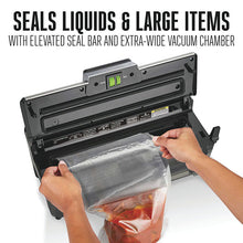 Load image into Gallery viewer, 2-IN-1 LIQUID AND DRY VACUUM SEALER WITH DATE CODER STAMP
