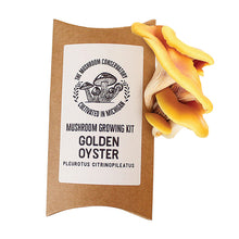 Load image into Gallery viewer, GOLDEN OYSTER MUSHROOM GROWING KIT
