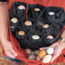 Load image into Gallery viewer, ROO-STER EGG COLLECTING APRON

