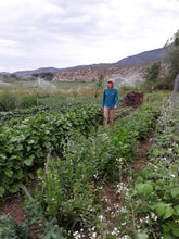 Load image into Gallery viewer, Homestead Seed CSA Share
