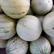 Load image into Gallery viewer, Diné Origin Sweet Storage Watermelon
