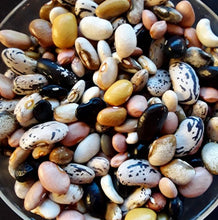 Load image into Gallery viewer, Kids Garden Collection
