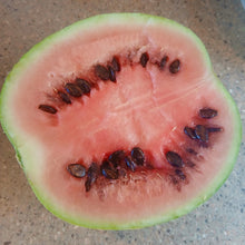 Load image into Gallery viewer, Pueblo Watermelon Mix
