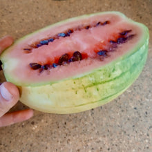 Load image into Gallery viewer, Pueblo Watermelon Mix

