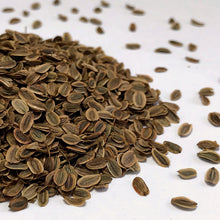 Load image into Gallery viewer, Dill, Mammoth (Anethum graveolens)
