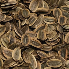 Load image into Gallery viewer, Dill, Mammoth (Anethum graveolens)
