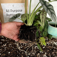 Load image into Gallery viewer, All-Purpose Soil Mix
