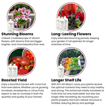 Load image into Gallery viewer, Bloom Juice Award-Winning Formula
