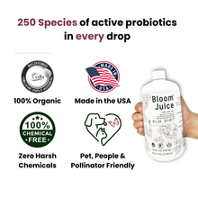 Load image into Gallery viewer, Bloom Juice Award-Winning Formula
