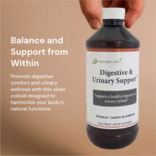Load image into Gallery viewer, Digestive and Urinary Support (Formerly known as Digestive Urinary Tonic)
