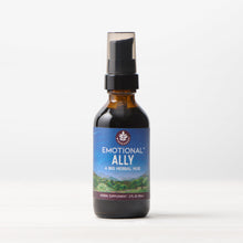 Load image into Gallery viewer, Emotional Ally: A Big Herbal Hug
