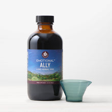 Load image into Gallery viewer, Emotional Ally: A Big Herbal Hug

