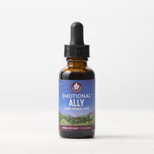 Load image into Gallery viewer, Emotional Ally: A Big Herbal Hug
