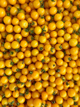 Load image into Gallery viewer, Galina Tomato
