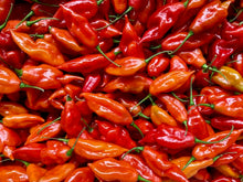 Load image into Gallery viewer, Hot Paper Lantern Pepper

