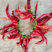 Load image into Gallery viewer, Ring O' Fire Cayenne
