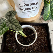 Load image into Gallery viewer, All-Purpose Soil Mix

