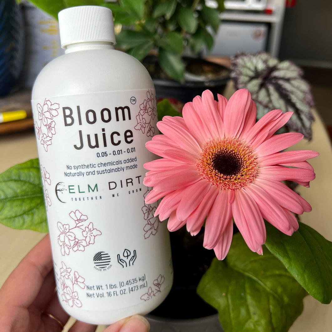 Bloom Juice