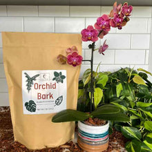 Load image into Gallery viewer, Orchid Bark

