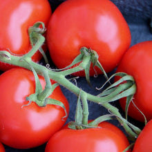 Load image into Gallery viewer, Italian Winter Tomato
