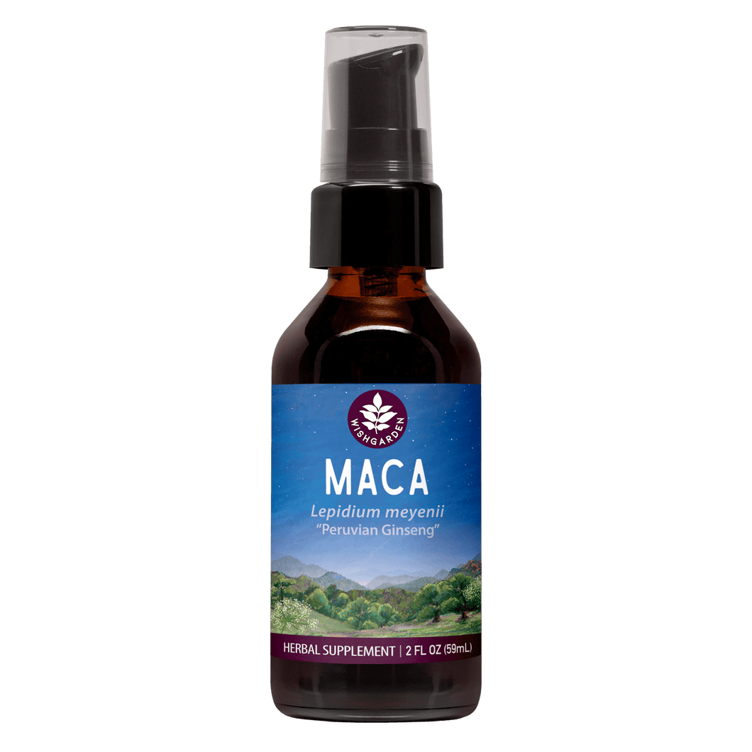 Maca