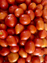 Load image into Gallery viewer, Mt. Roma Tomato
