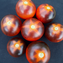 Load image into Gallery viewer, Goluboy Les (Blue Forest) Tomato
