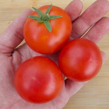 Load image into Gallery viewer, Cyril's Choice Tomato
