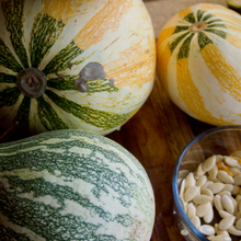 Load image into Gallery viewer, Hopi Origin Cushaw Winter Squash

