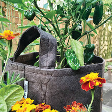 Load image into Gallery viewer, GREY FABRIC PLANTER WITH HANDLES — 5 PACK
