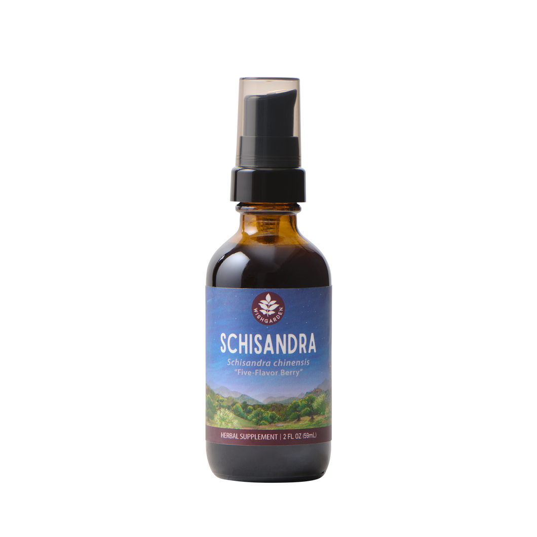 Schisandra