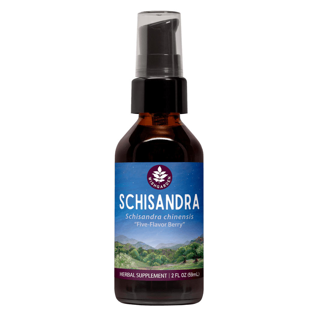 Schisandra