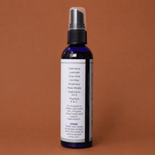 Load image into Gallery viewer, Anastasiia SKINny Spray
