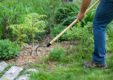 Load image into Gallery viewer, OGDEN CobraHead Long Handle Weeder &amp; Cultivator Garden Tool
