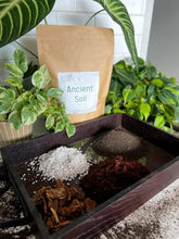 Load image into Gallery viewer, Ancient Soil: Organic Living Soil for Thriving Plants
